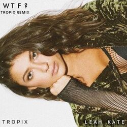 Cover of WTF?
