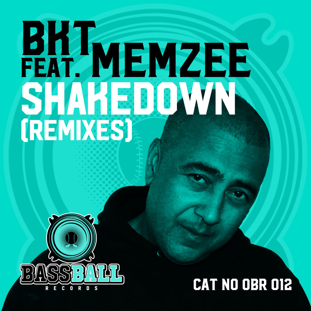 Picture of Shakedown Remixes