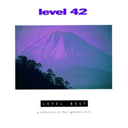 Cover of Level Best