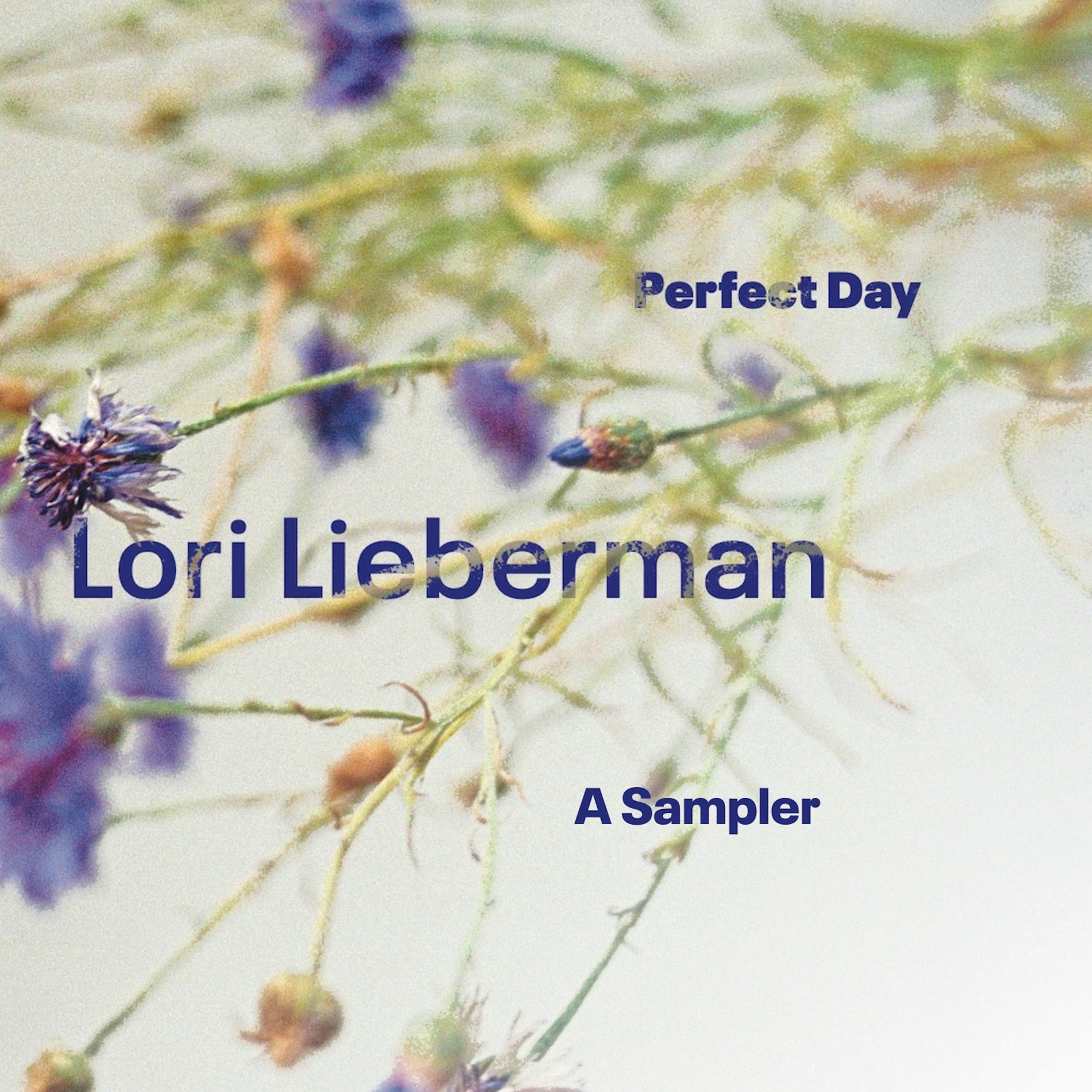 Album cover of Perfect Day A Sampler