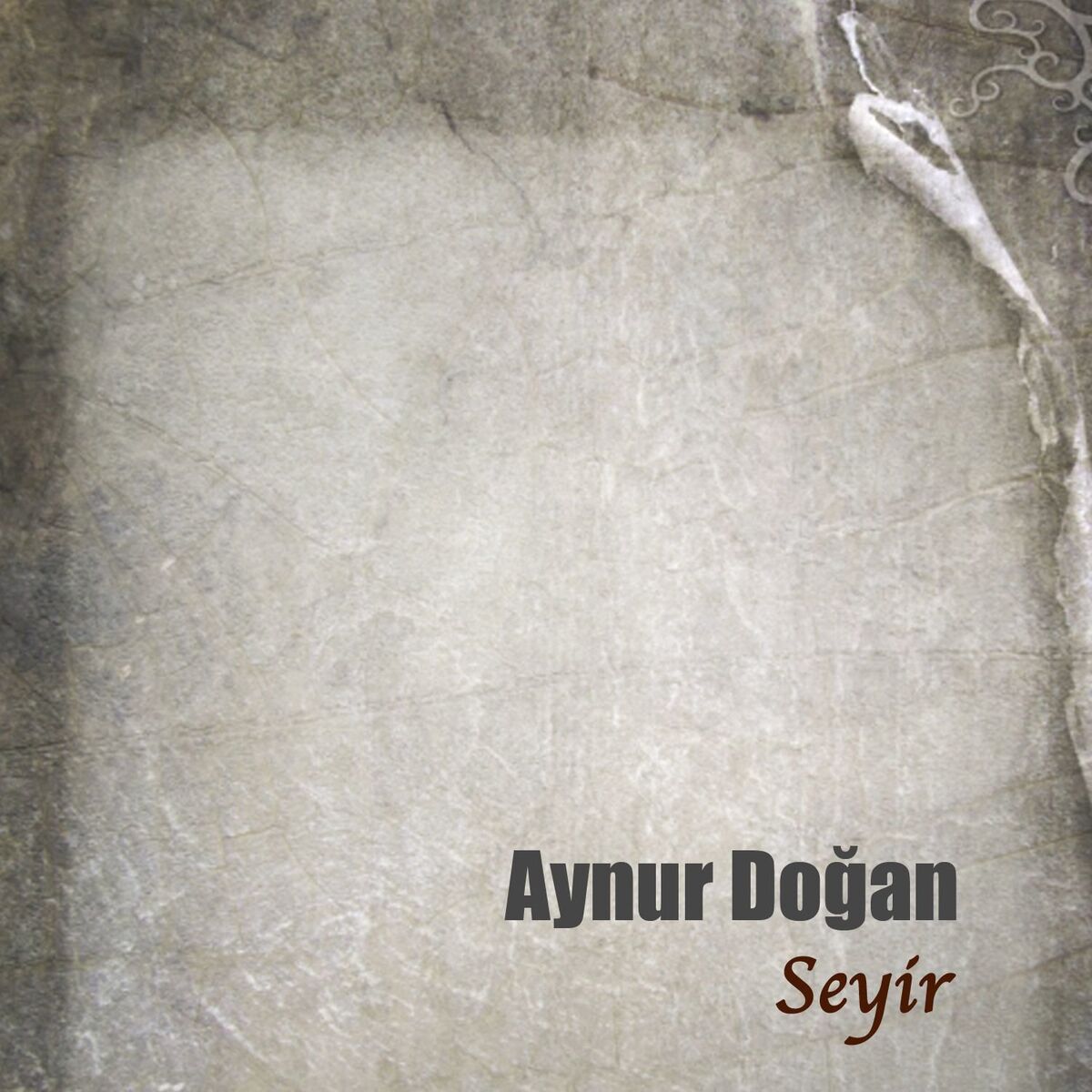 Album cover of Yarim Derdini Ver Bana