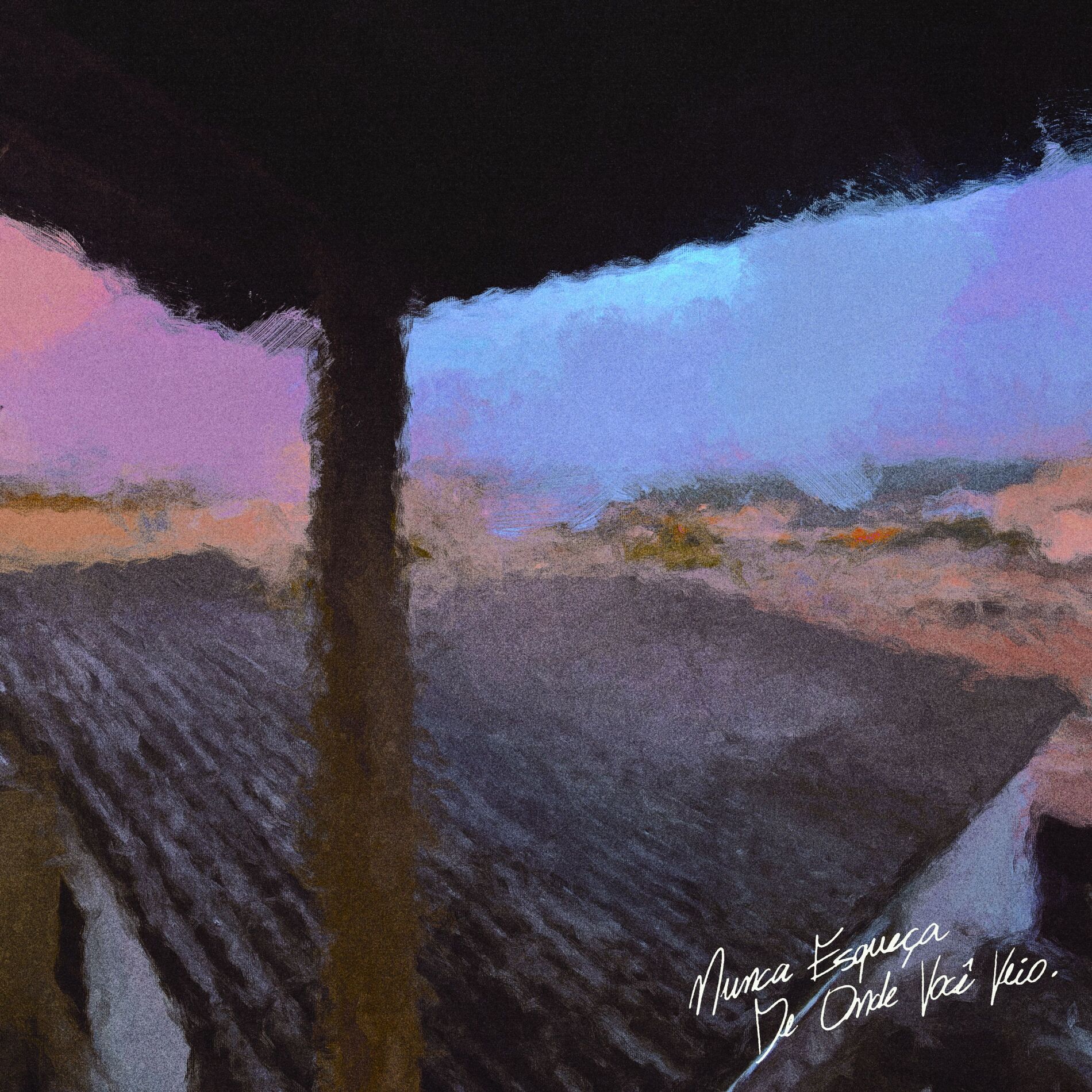 Album cover of nunca esqueça de onde você veio