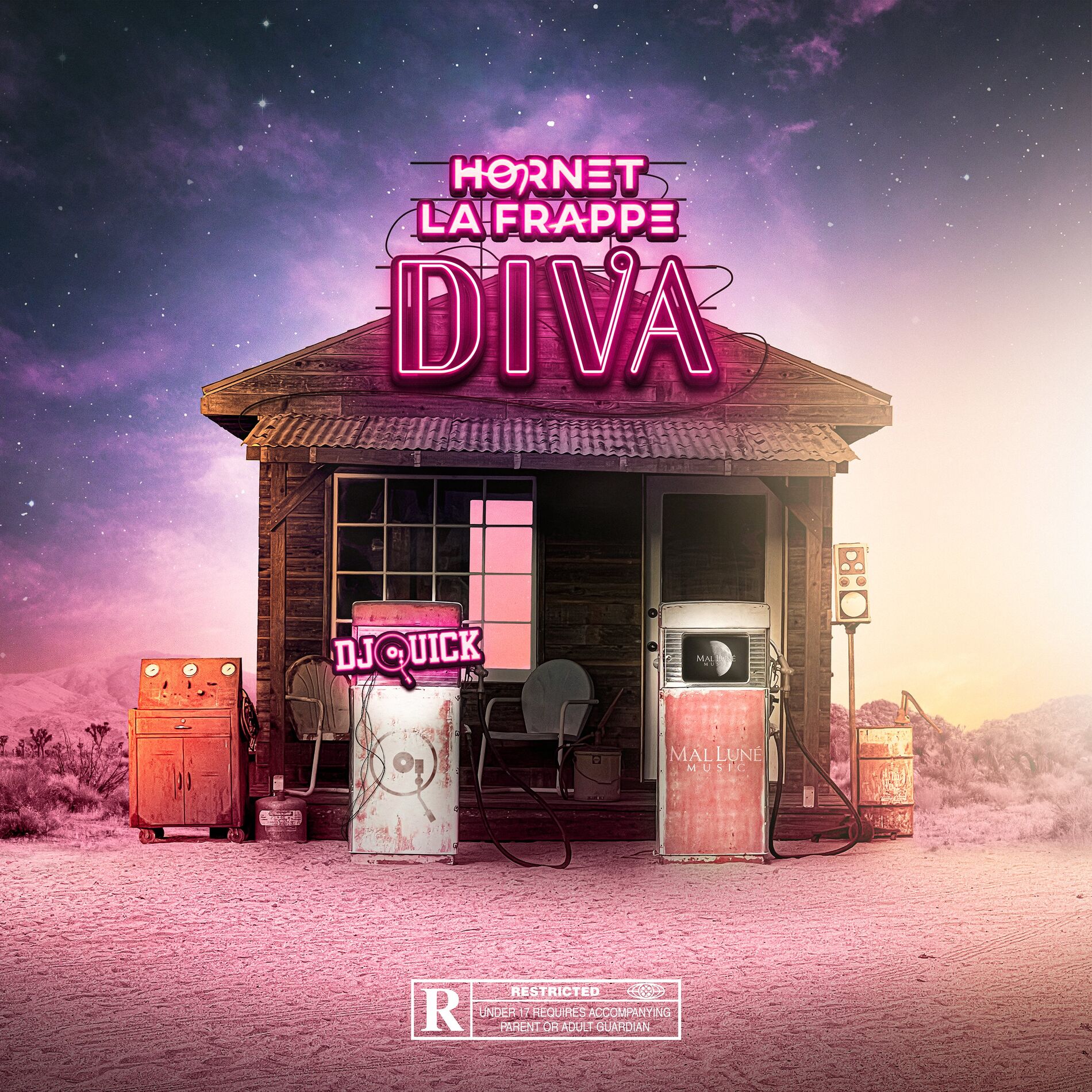 Album cover of Diva