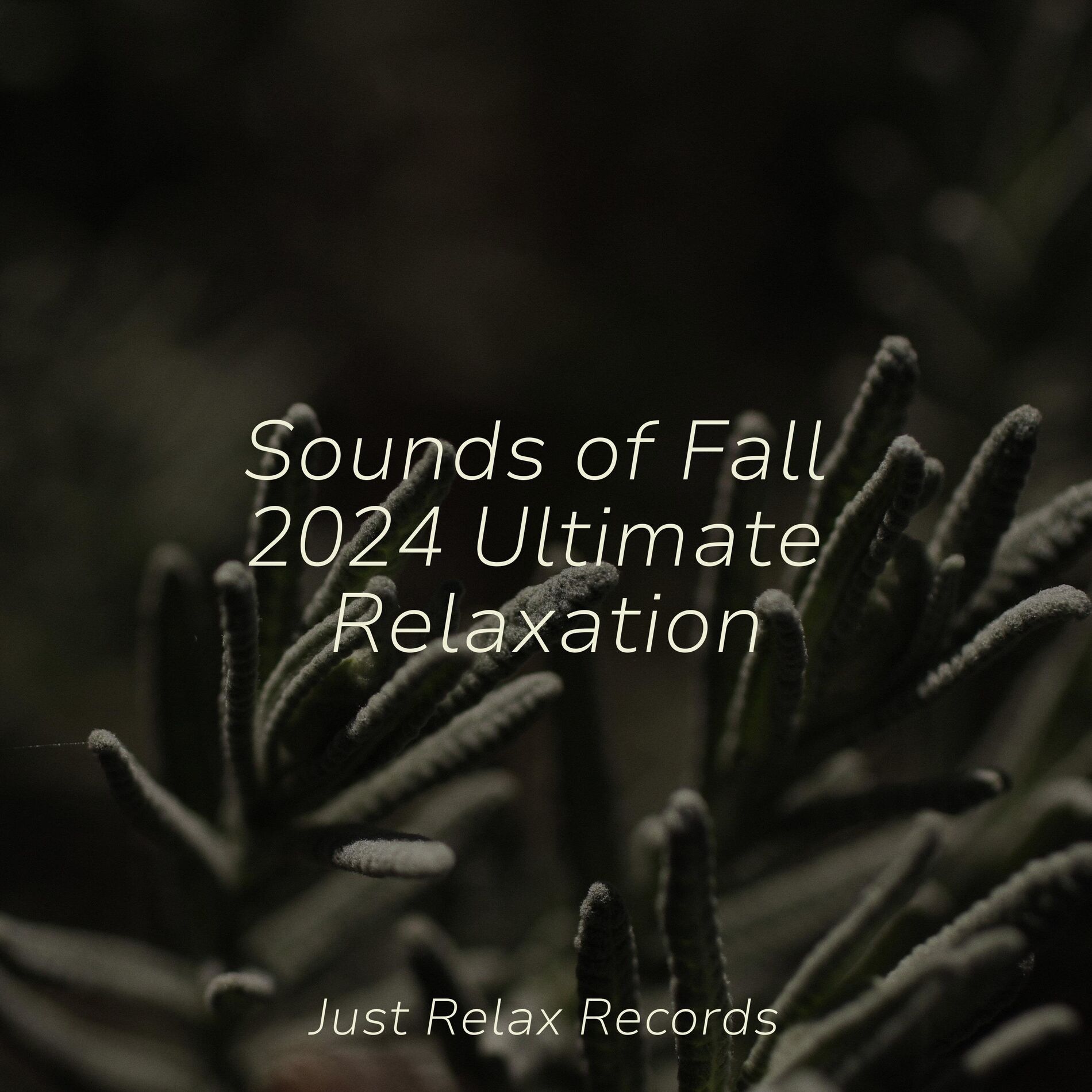 Album cover of Sounds of Fall 2024 Ultimate Relaxation