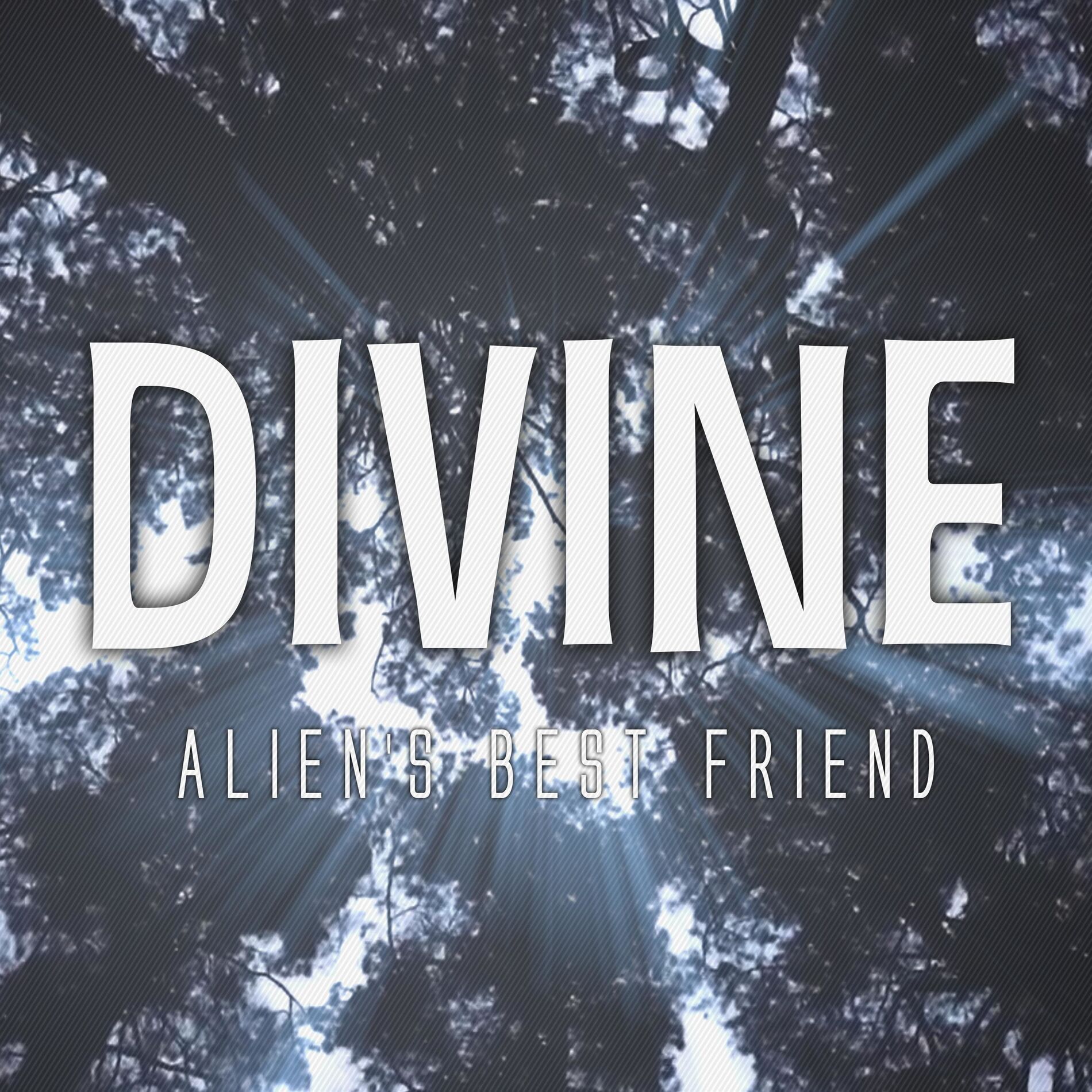 Album cover of Divine