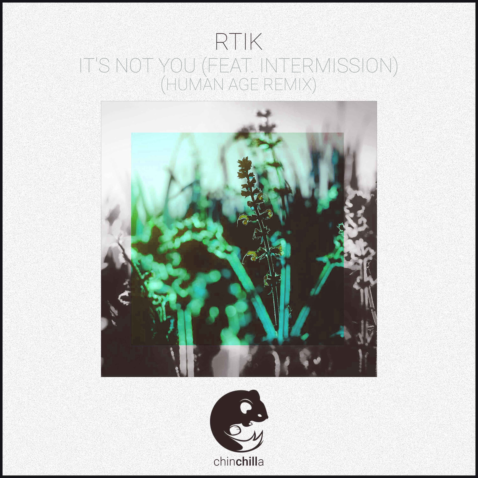 Album cover of It's Not You (feat. Intermission) [Human Age Remix]