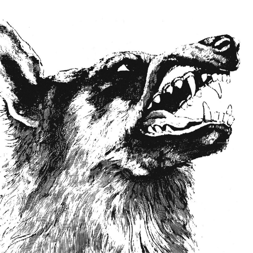 Picture of I, Vigilante