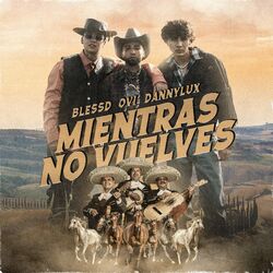 Cover of Mientras no Vuelves