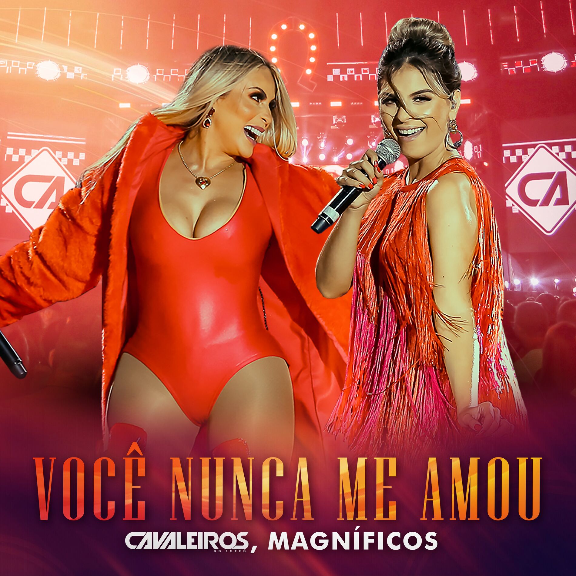 Album cover of Você Nunca Me Amou
