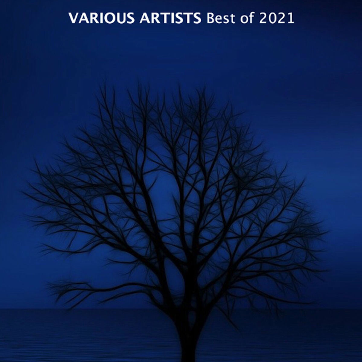 Album cover of Best Of 2021