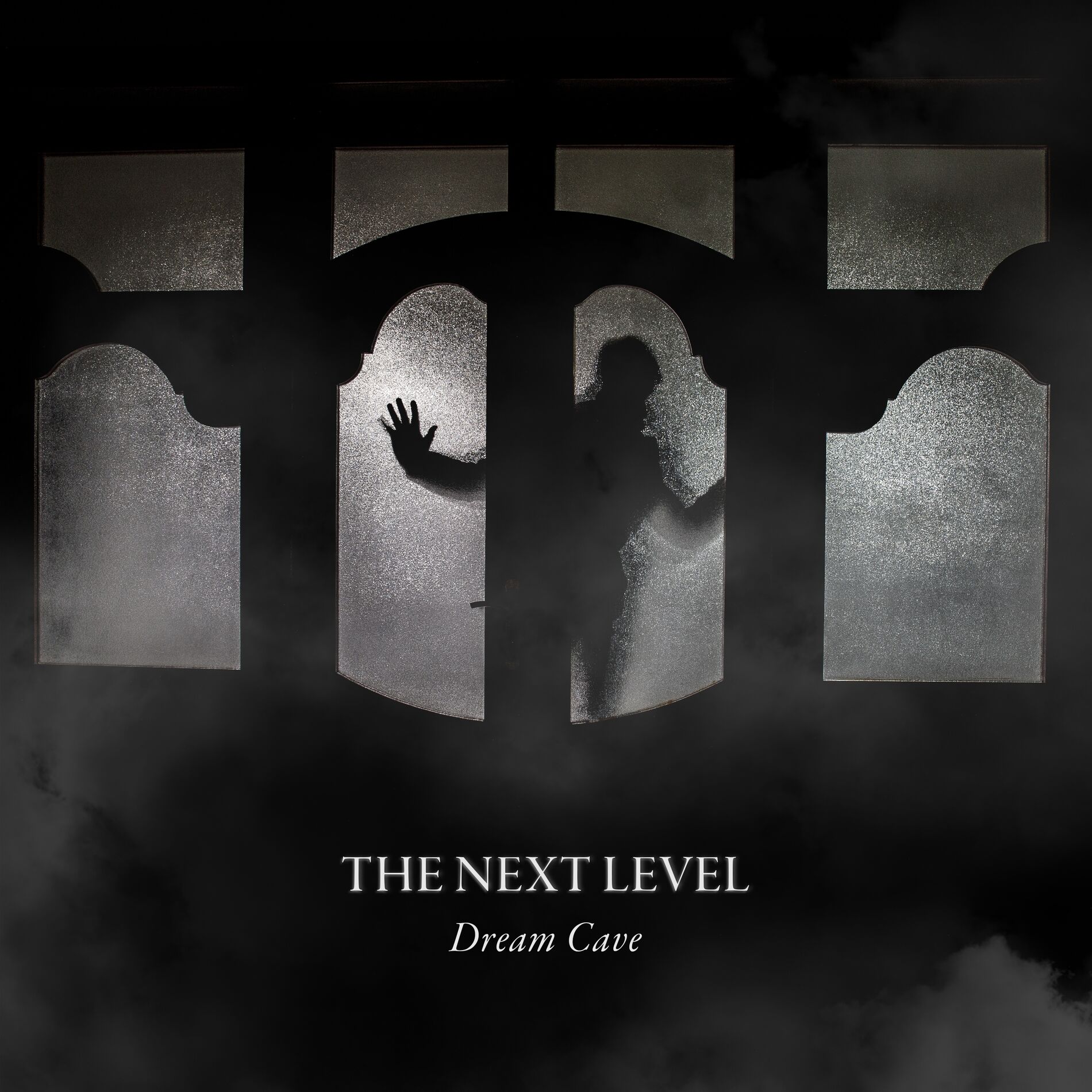 Album cover of The Next Level