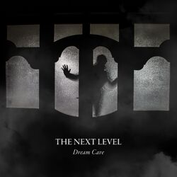 Cover of The Next Level