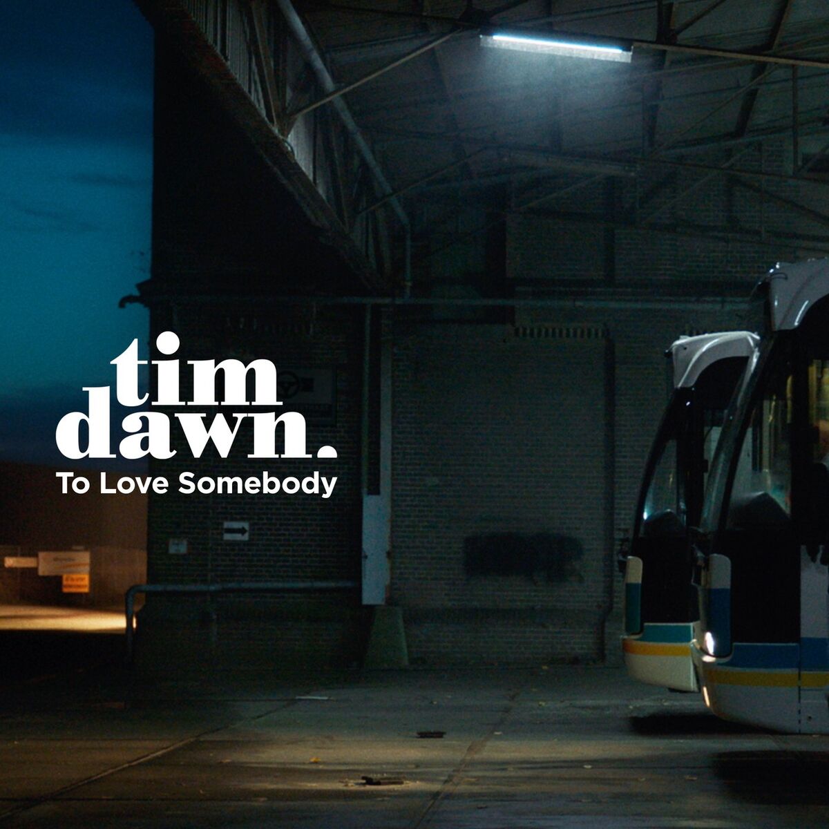 Album cover of To Love Somebody
