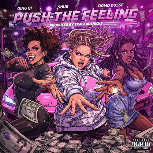 PUSH THE FEELING (feat. SHUG & DomoDusse) artwork
