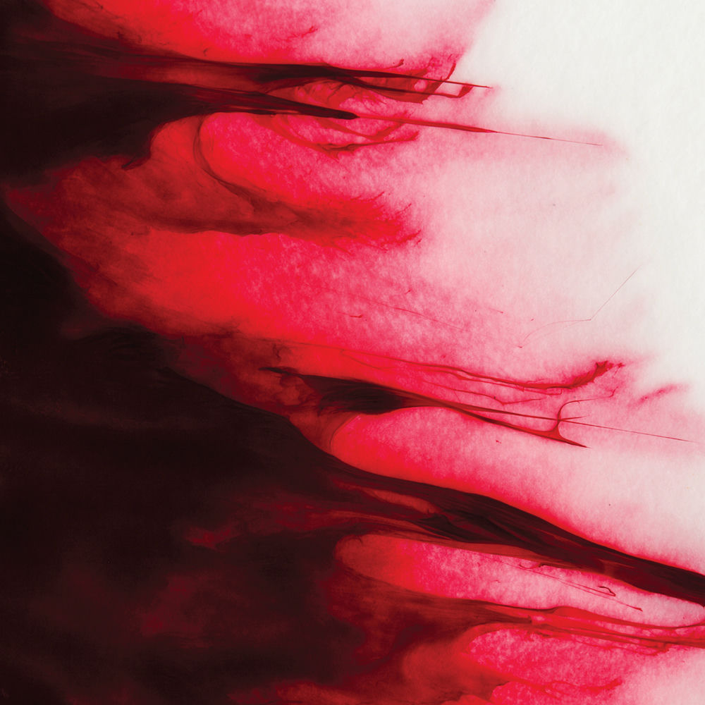 Pochette du titre Perception