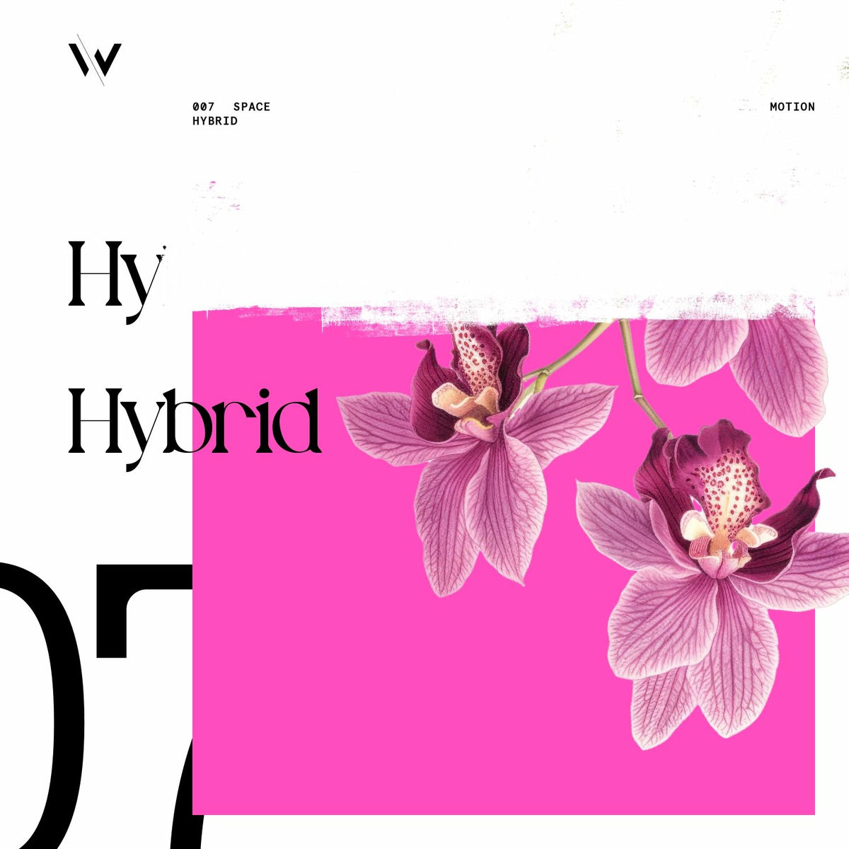 Album cover of Hybrid