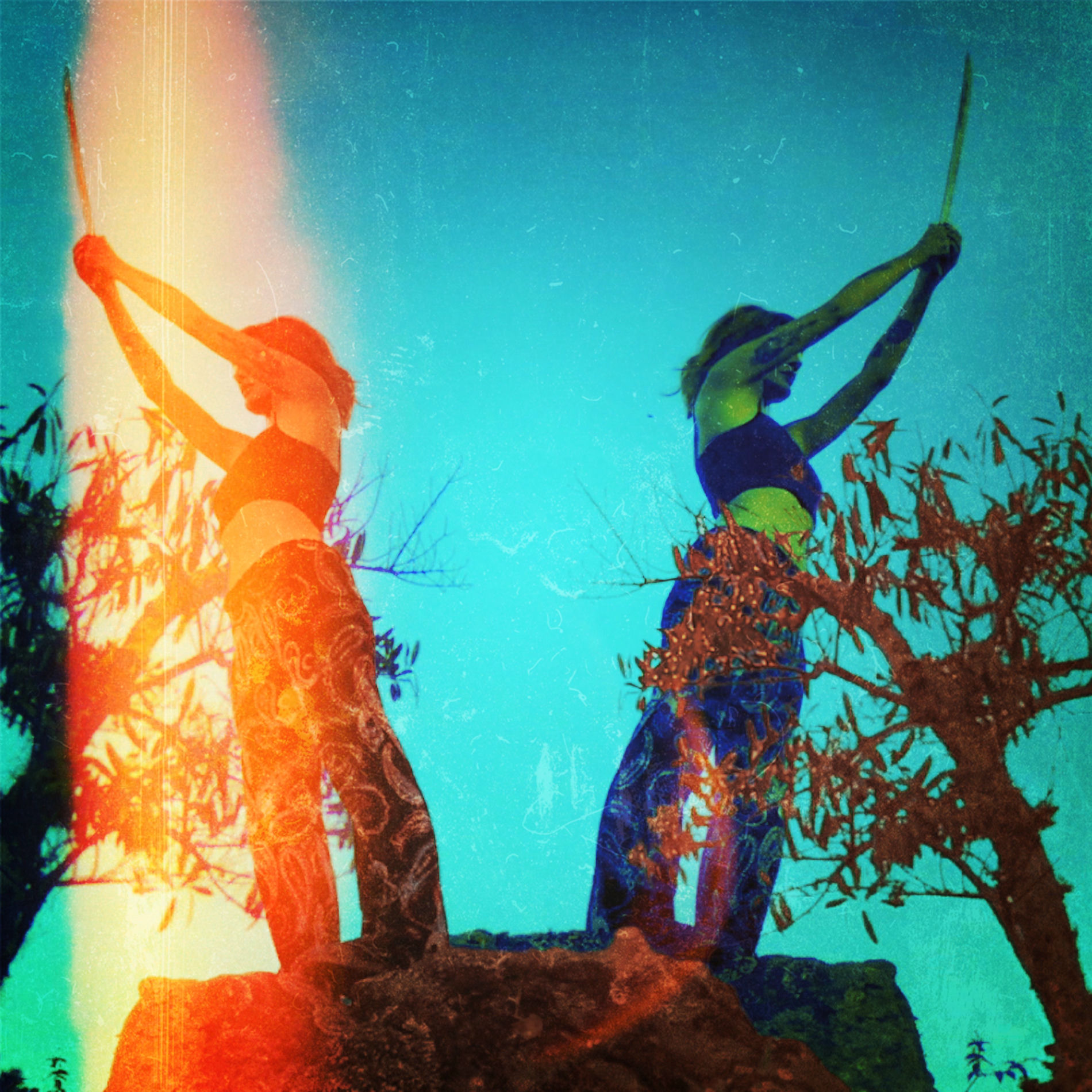 Album cover of Onça Power