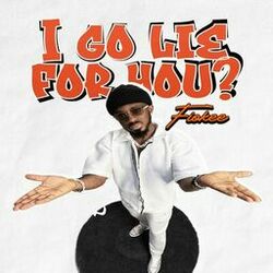 Cover of I Go Lie for You?
