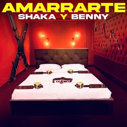 Cover of Amarrarte