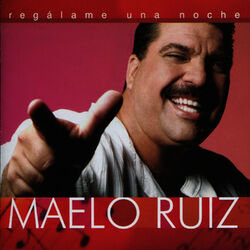 Cover of Regálame Una Noche