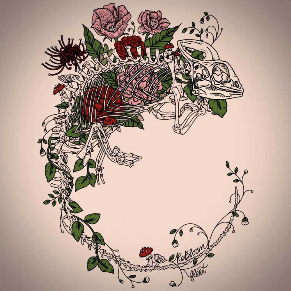 Rebloom cover