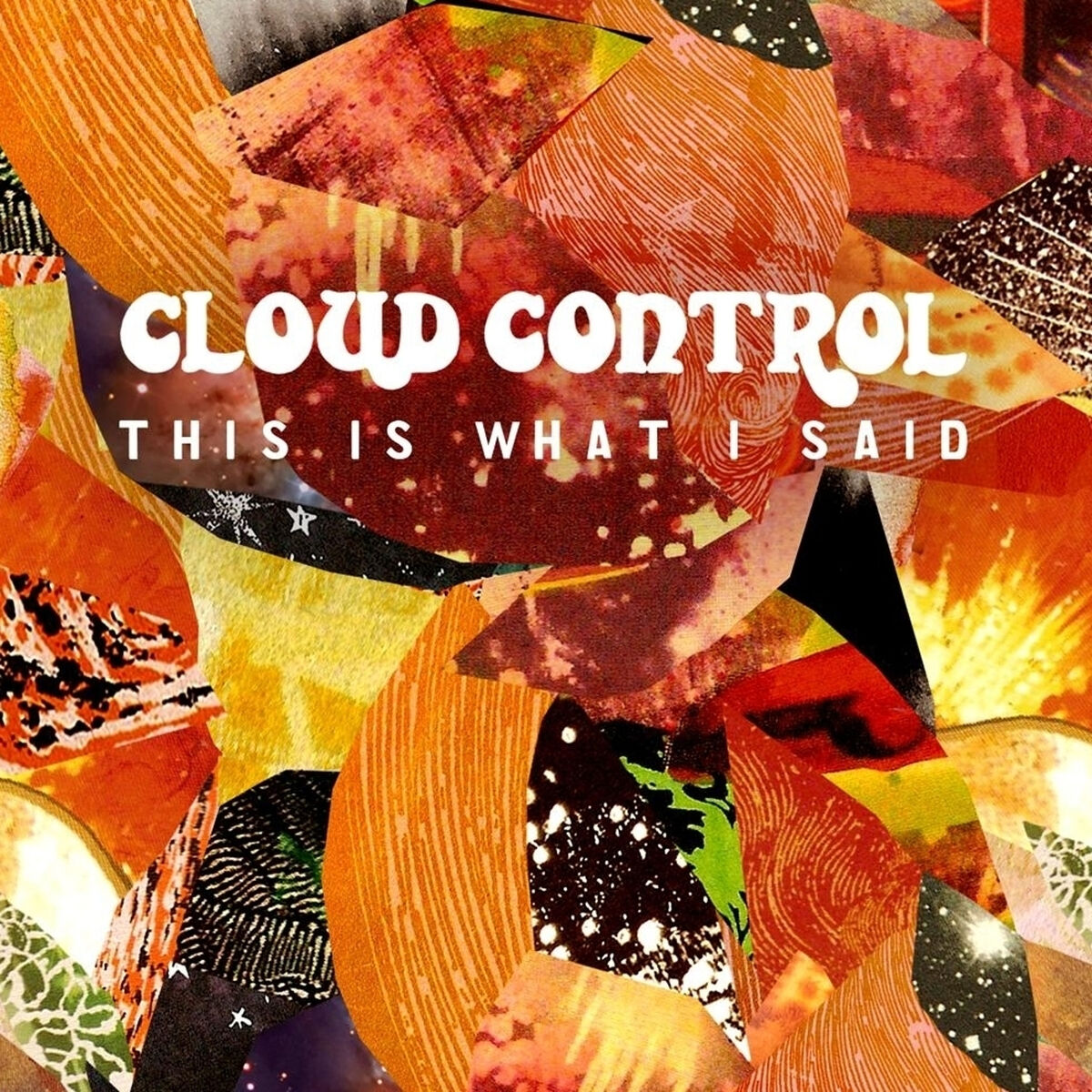 Album cover of This Is What I Said
