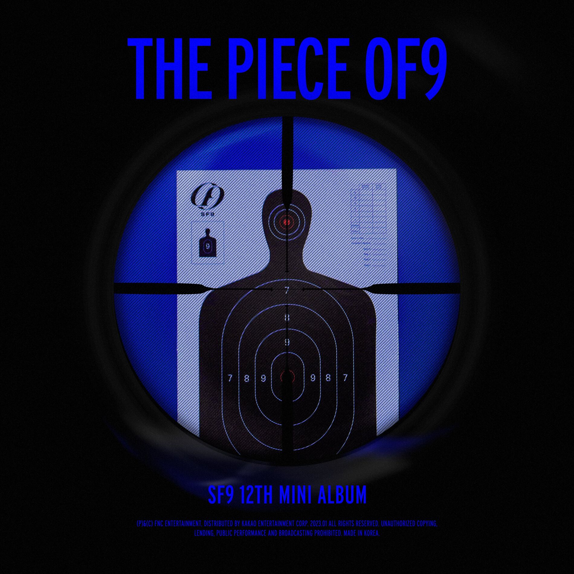 Album cover of Puzzle