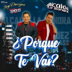Cover of ¿Porqué te vas?