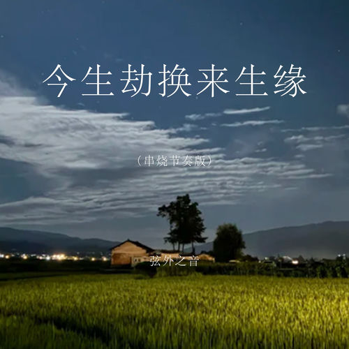 今生劫换来生缘 (串烧节奏版)