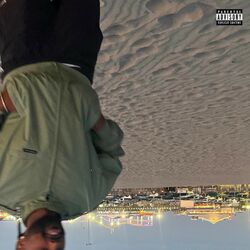 Cover of Swim N Sativa