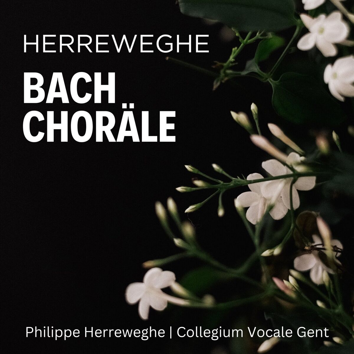 Album cover of Herreweghe: Bach Choräle
