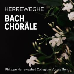 Cover of Herreweghe: Bach Choräle