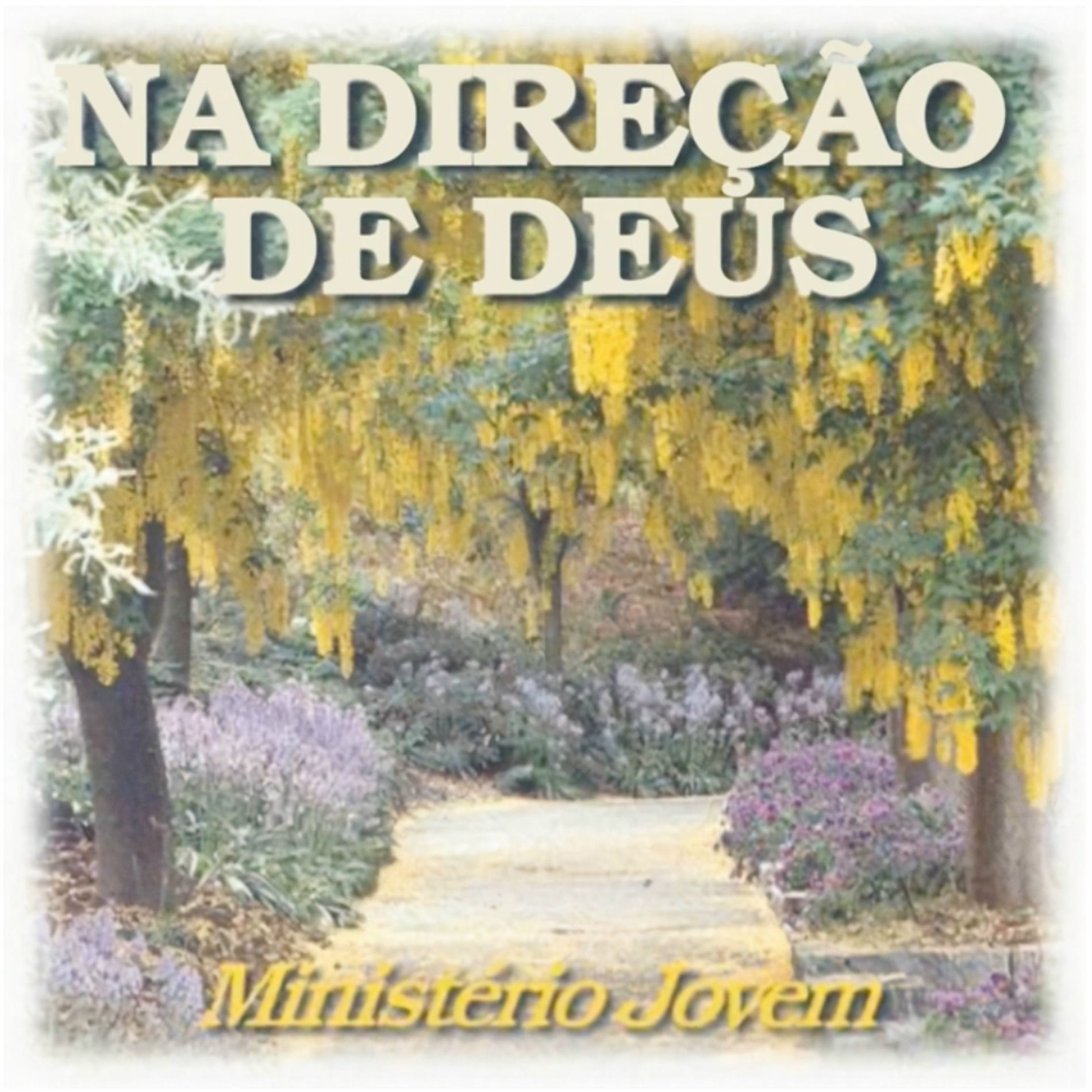 Album cover of Na Direção de Deus