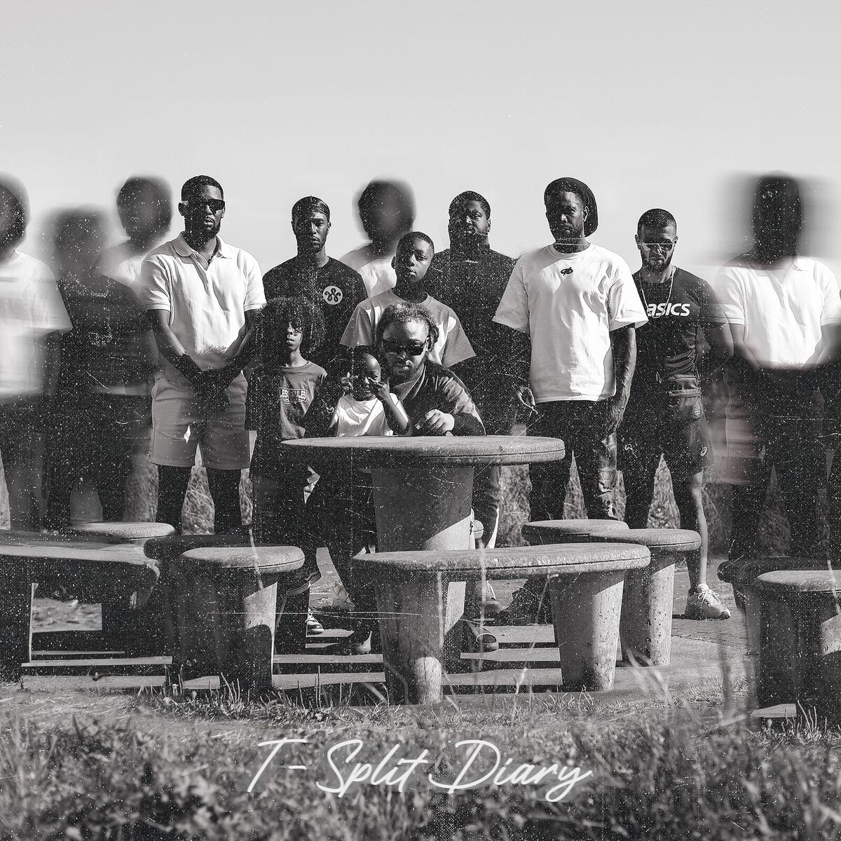 Album cover of T-Split Diary