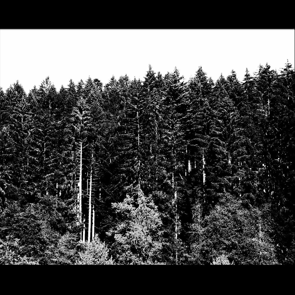 Album cover of As Fresh as the Air of the Night