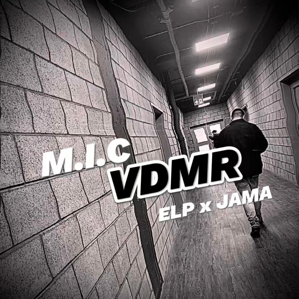 Picture of VDMR (feat. ELP & JAMA)