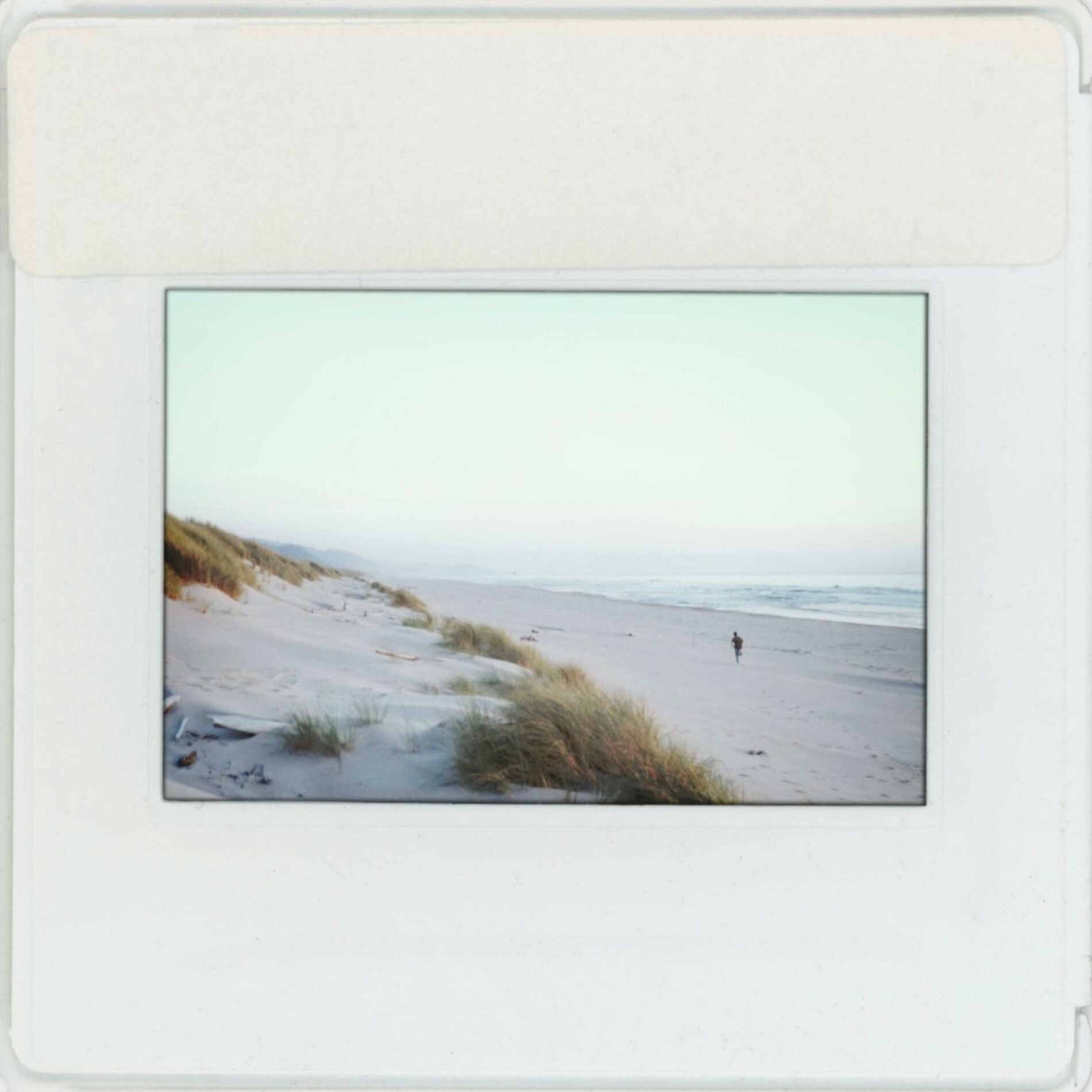 Album cover of cowboy in la