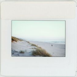 Cover of cowboy in la