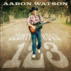 Cover of County Road 123