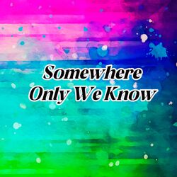 Somewhere Only We Know / El Lugar Que Tú y Yo Conocemos (Cover en Español)