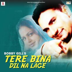 Cover of Tere Bin Dil Na Lage