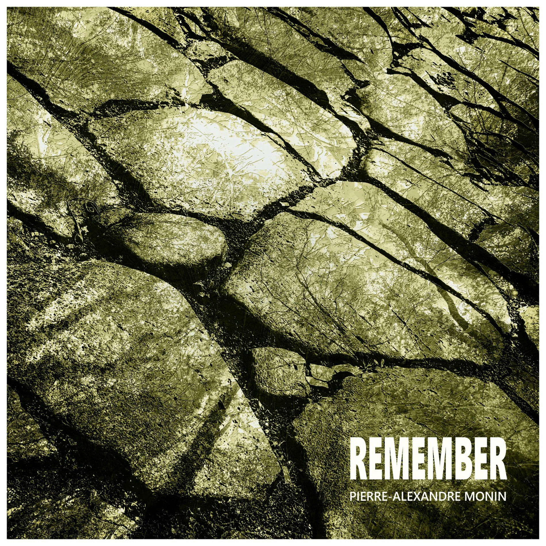 Album cover of Remember