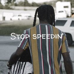 Cover of STOP SPEEDIN