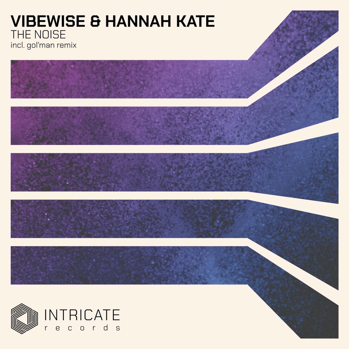Album cover of The Noise