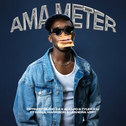 Cover of Ama Meter