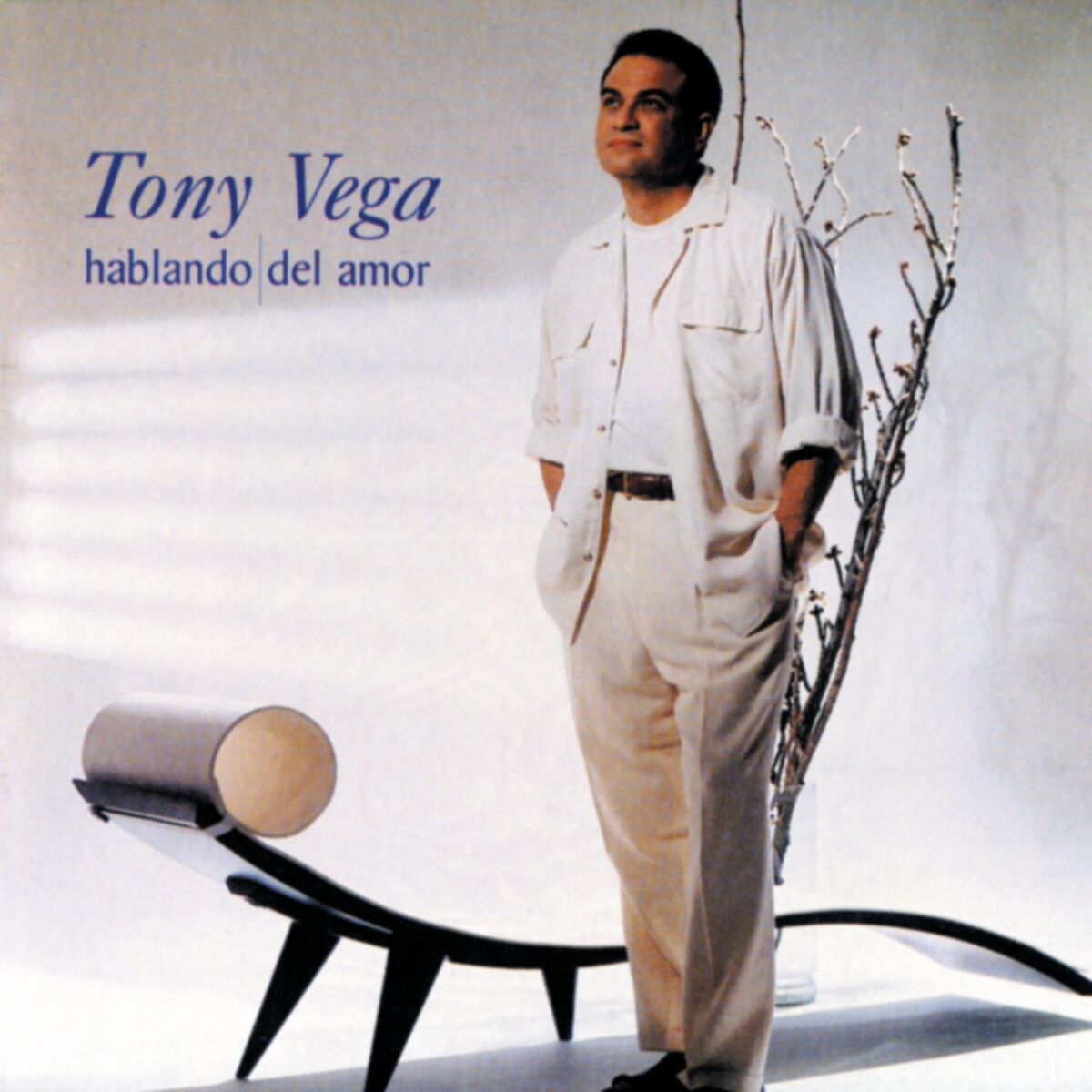 Album cover of Hablando Del Amor