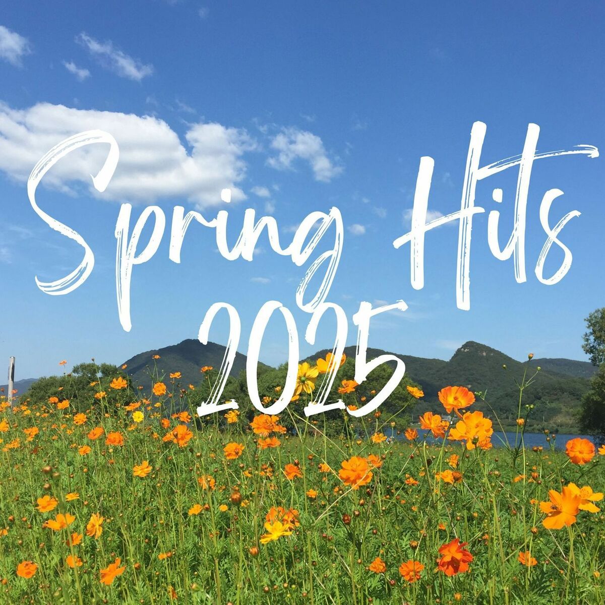 Album cover of Spring Hits 2025
