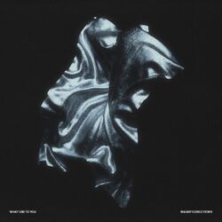 Cover of What I Did to You (Magnificence Remix)