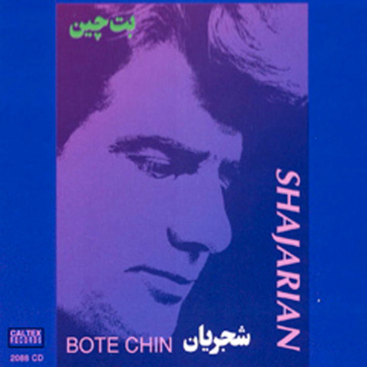 Album cover of Bote Chin