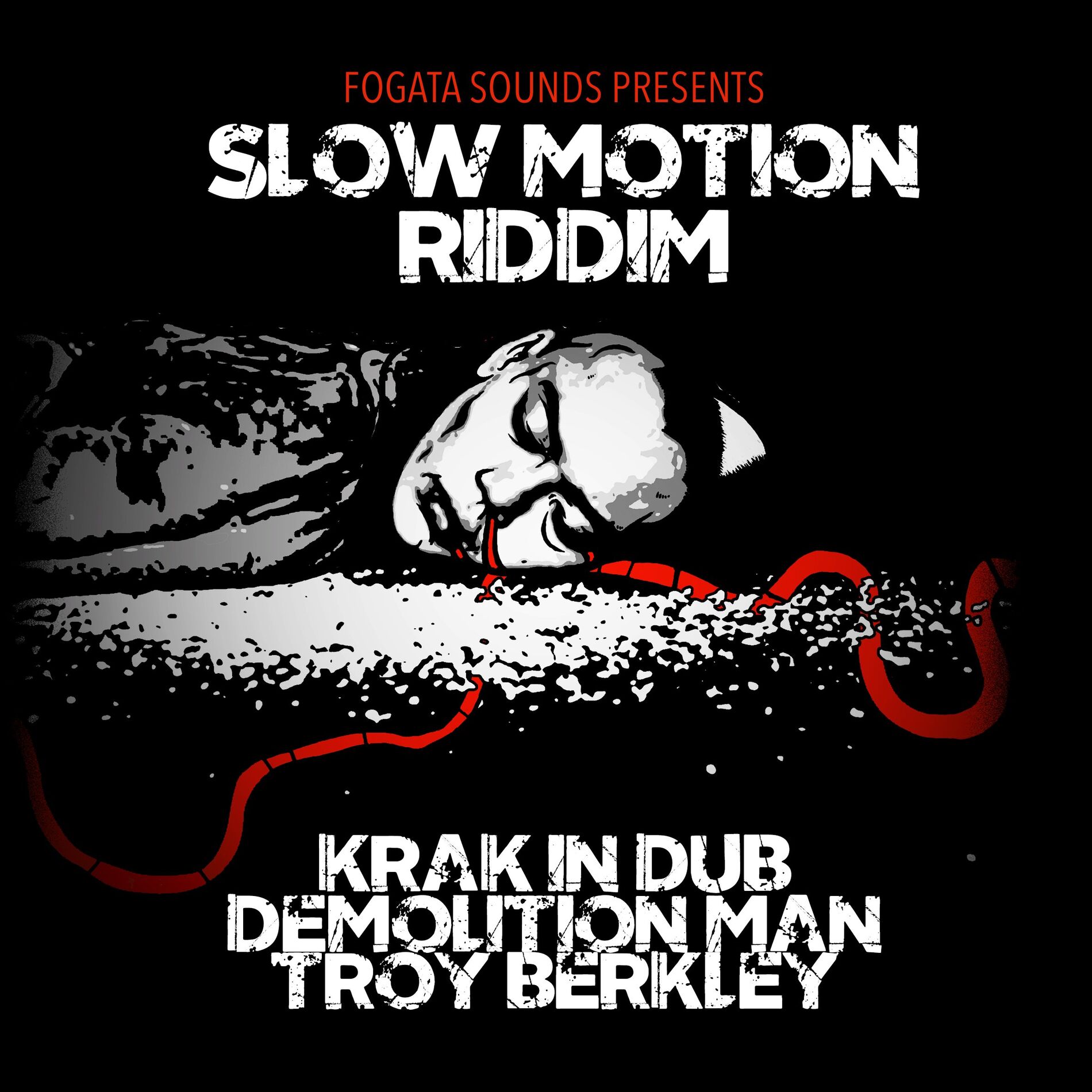 Album cover of Slow Motion Riddim